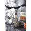 Maison hantée lumineuse en carton 10 x 8,3 x 13,5 po, décor de table d'Halloween noir et beige, alimenté par piles
