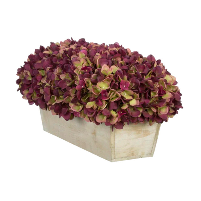 Arrangement d'hortensias en prune, Prune, Beige