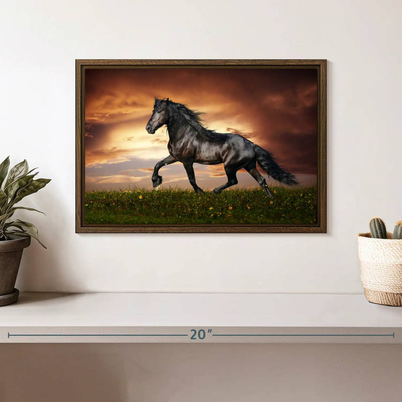 Cheval baroque, 13 po x 9 po, Cadre flottant en noyer