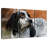Spotted English Setter-1448798284