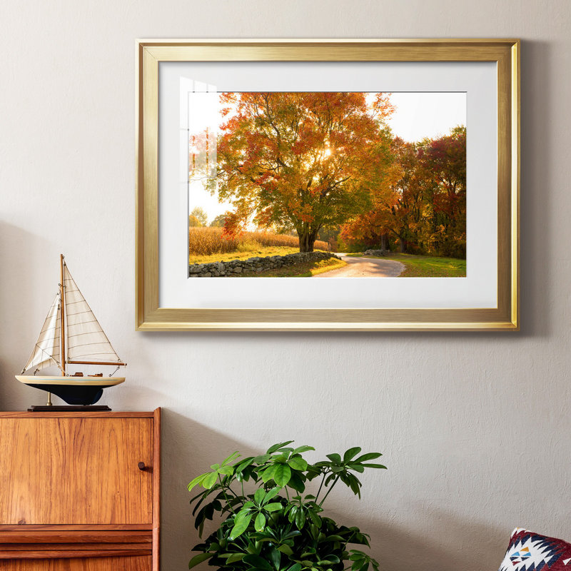Maple Tree Drive - Single Picture Frame Photograph, Gold Framed, 26.5" H x 36.5" W x 1.5" D