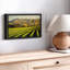 Nature "Art mural Blenheim Vineyard"-101793851