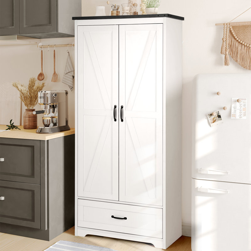 Abhijeet 71'' Kitchen Pantry