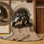  Washable Tapir Wildlife Area Rug-2047758885