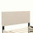 Velvet Upholstered Platform Bed with Trundle-112511389-106492948