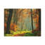 No Frame Print on Canvas
