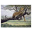 Yand «Leopard in Tree», reproduction de peinture acrylique sur toile tendue-30364148