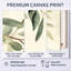 Douce eucalyptus olive branche IV - verdure, art mural-1357860289-1357860296