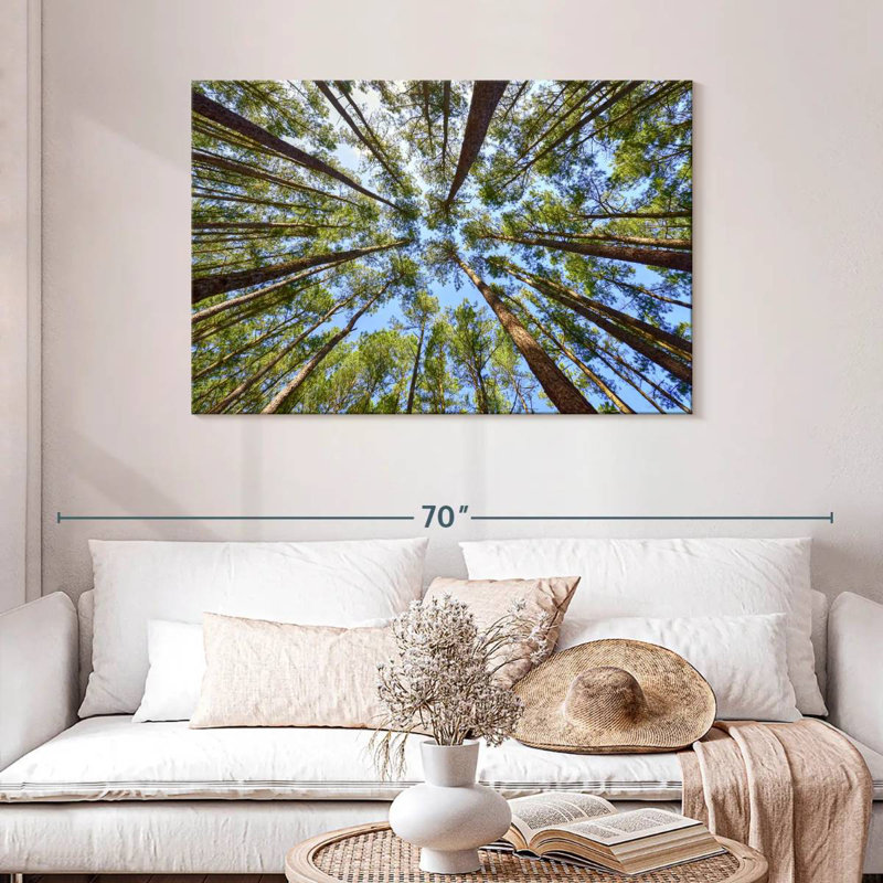 Harnek Towering Pine Trees, 30" H x 45" W