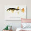Illustration of a Pufferfish by F.E. Clarke - Wrapped Canvas-55360300