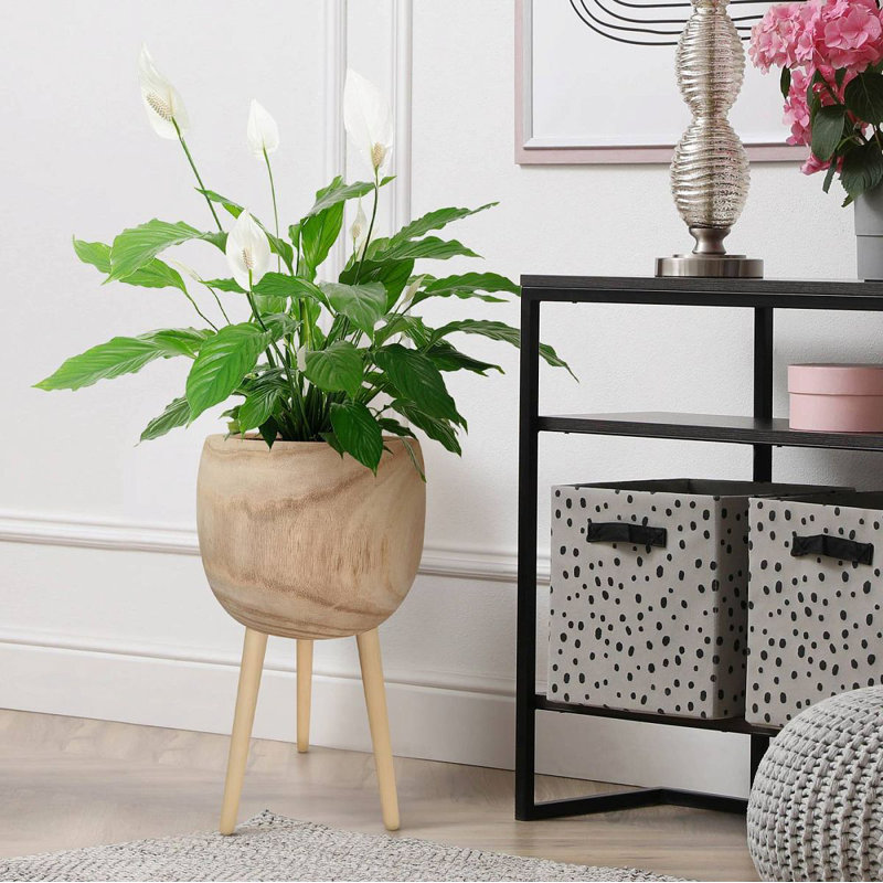 Wood Pot Planter, 59cm H x 30cm W x 30cm D