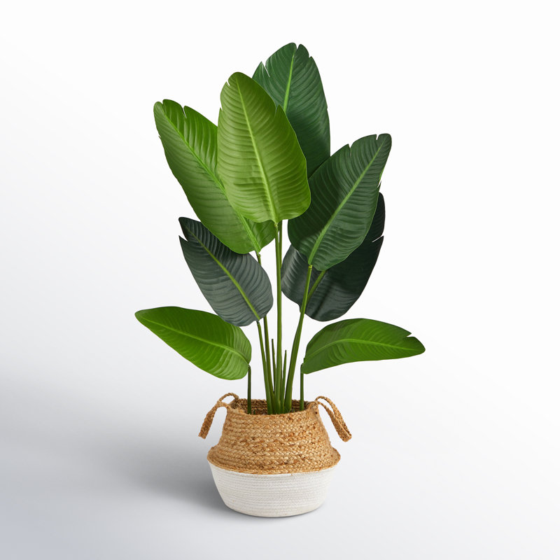 48'' Faux Palm Tree in Planter, Tan/White