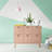 Decimo Accent Cabinet-2027158029