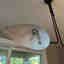 Photos des clients 4 de 4