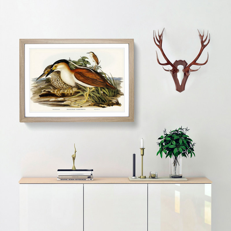 Nankeen Night Heron by Elizabeth Gould - Picture Frame Painting Print, 48cm H x 65cm W x 2cm D, Oak Framed