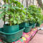 Cezar Pot Planter-283098080