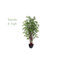 Arbre de bambou artificiel dans un pot de fleurs-23578208