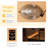 Erommy 2 - Person Indoor Bluetooth Compatible FAR Infrared Sauna in Hemlock