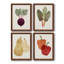 Toile encadrée organique Premium Veg IX - prête à être accrochée-992978418-992978419