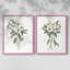 Impression encadrée Mountain Laurel I-Premium - prête à être accrochée - aucun clou requis - aucun clou requis-624468757-624468752