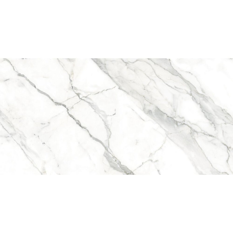 Museum 24" x 48" Polished Porcelain Floor and Wall Tile