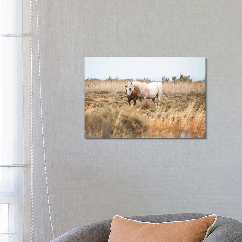 Camargue Wild Horses by James Vodicka - No Frame Gallery-Wrapped Canvas Giclée on Canvas, 20.32 cm H x 30.48 cm W