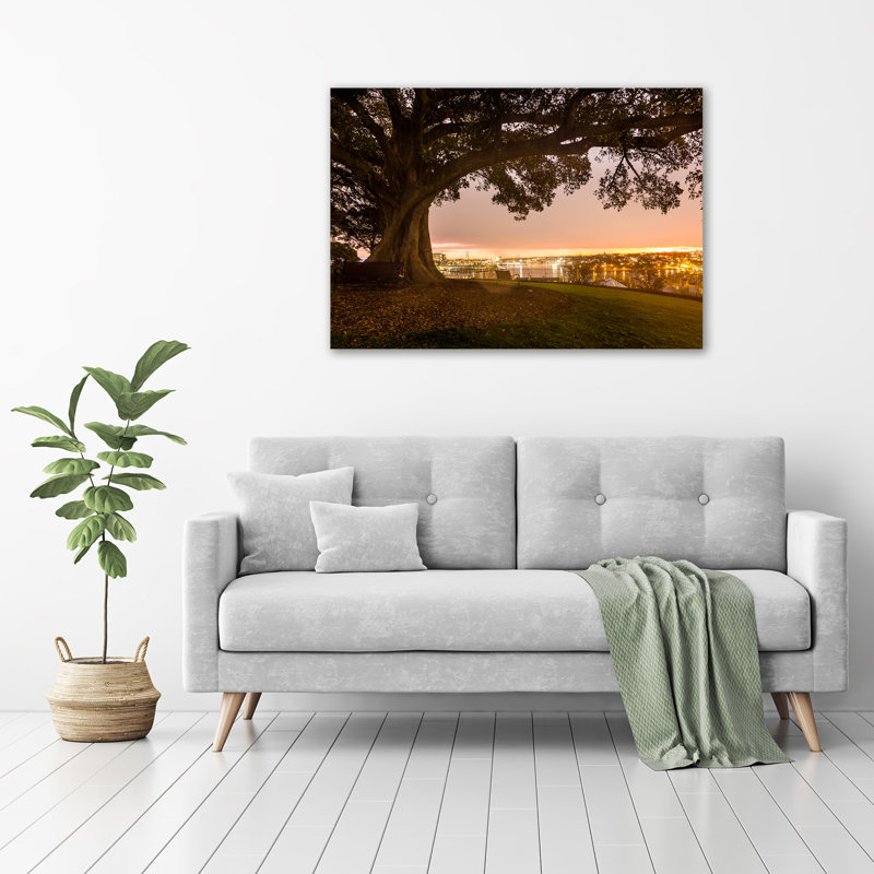 Old Tree - Wrapped Canvas Print