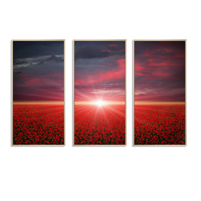 Red Poppies Field At Sunset " Red Poppies Field At Sunset " 3 - Pieces Painting Print