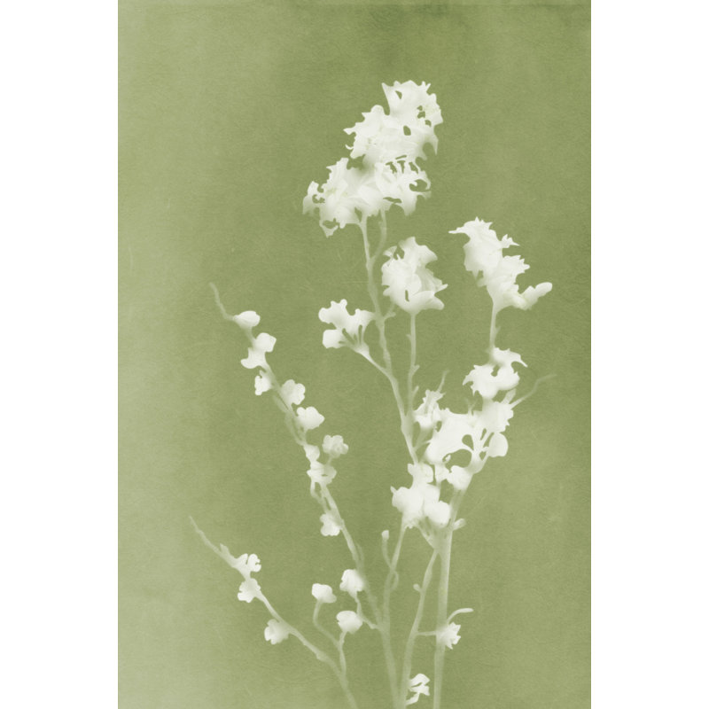 Wrapped Canvas Print, 50.8 cm H x 76.2 cm W