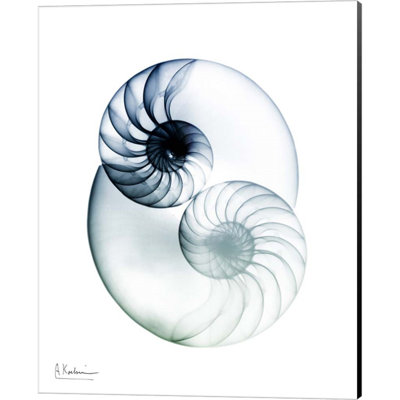 " Crystal Breeze 2 " by Albert Koetsier