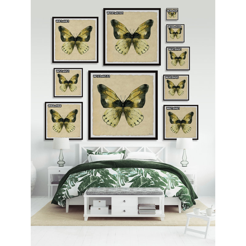 The Tropical Butterfly - Single Picture Frame Print, 30cm H x 30cm W x 3.81cm D