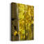 Aspen High Faits - impression sur toile tendue-1110075843