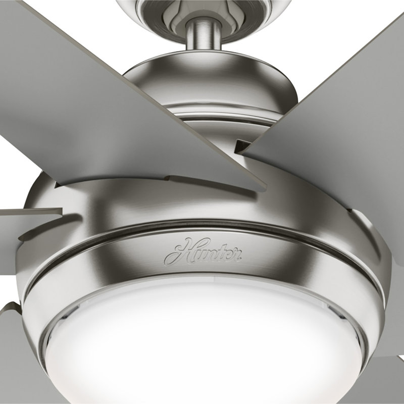52" Sotto 6 - Blade Standard Ceiling Fan with Remote Control and Light Kit Included, Brushed Nickel