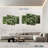 Harnek Green Nerve Plant-108860392