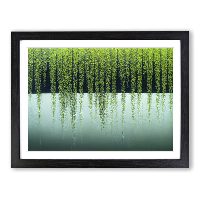 Sweet Weeping Willow Tree - Single Picture Frame Print, Black, 46cm H x 64cm W x 2cm D