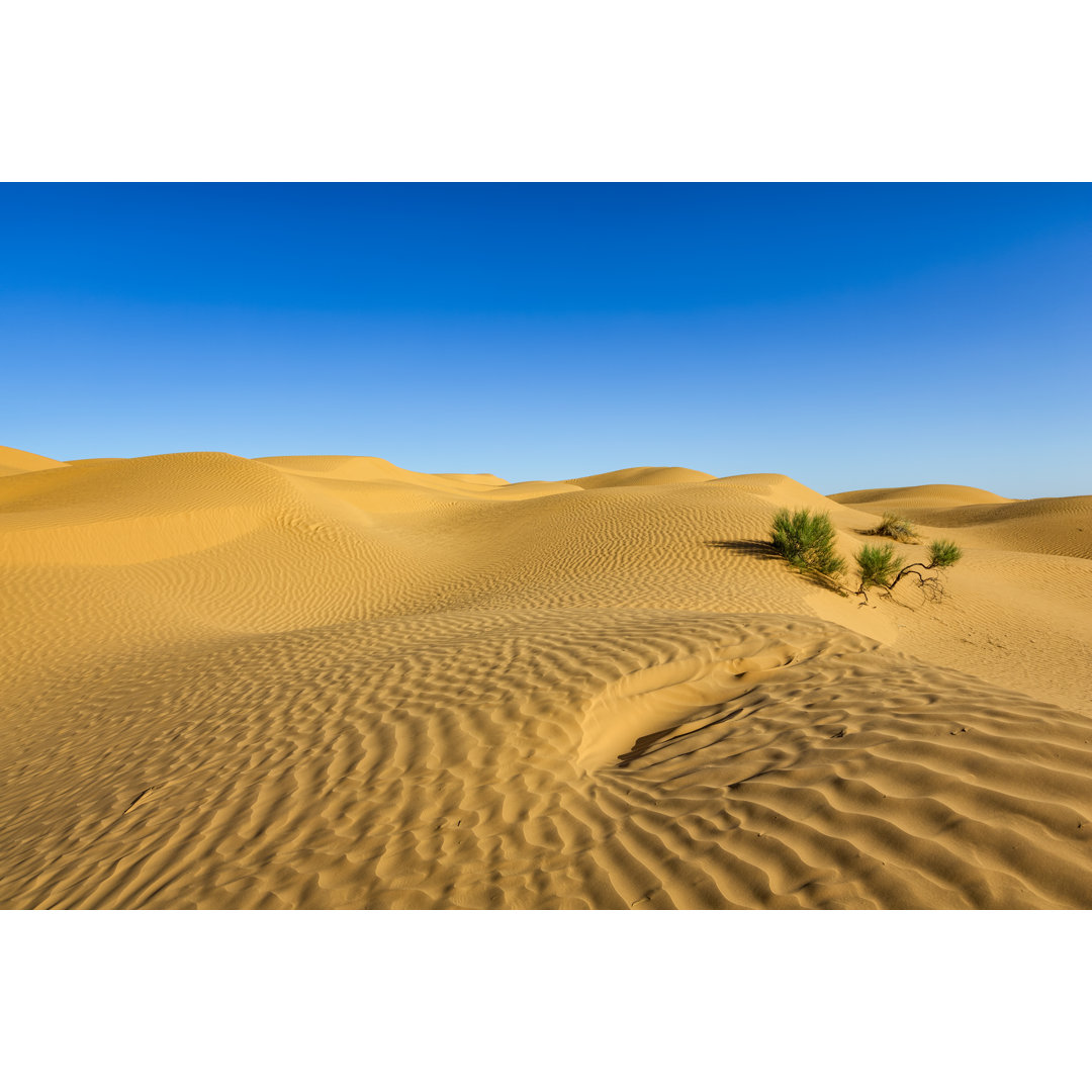 Sanddüne in der Sahara-Wüste, Grand Erg Oriental, Tunesien von Cinoby - Druck auf Leinwand ohne Rahmen