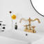 2-handle Bathroom Faucet with Drain Assembly-69262697