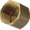 0.5" Female IPS Cap