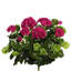 Buisson de géranium artificiel 17,5 "en polyester-913431849