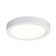 LED Flush Mount