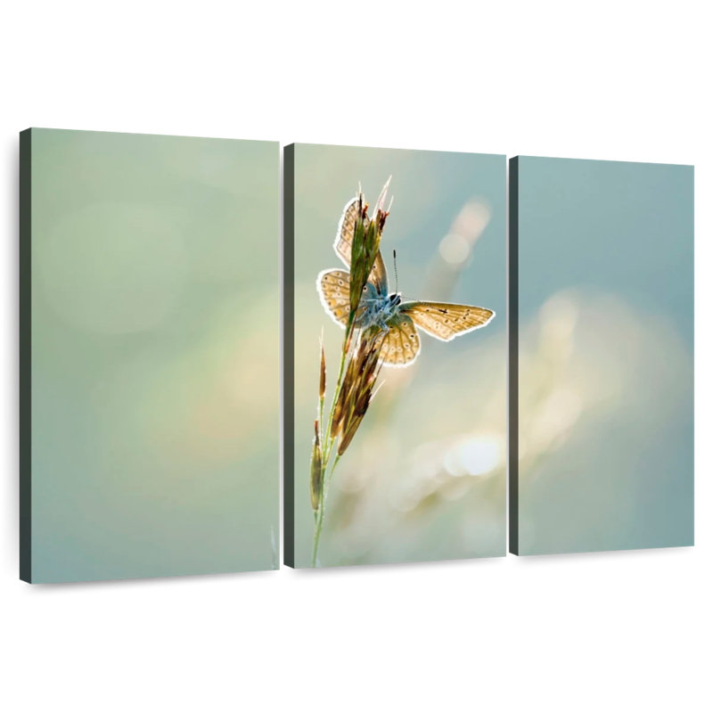 Brampt Icarus Butterfly, 20" H x 33" W