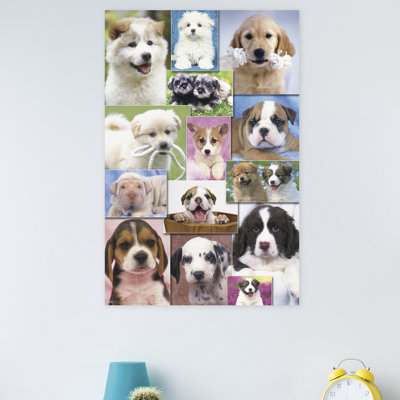 Animals Paper Print