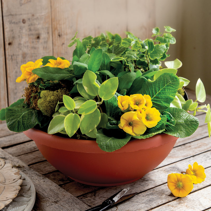 Pot à fleurs en résine , Argile terre cuite, H 8 po x l 18 po x P 18 po