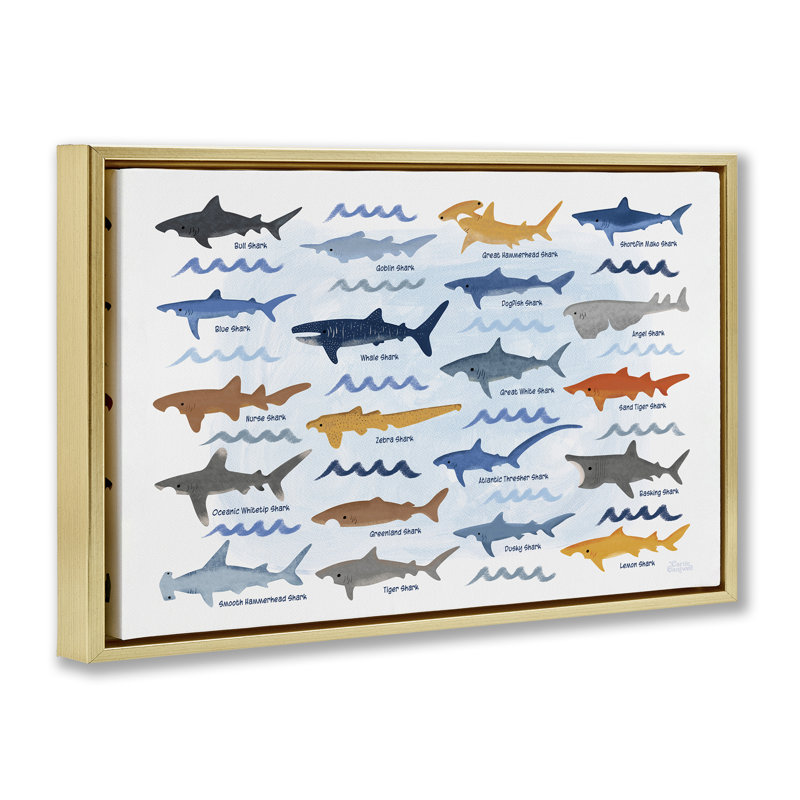 Toile flottante encadrée "Divers requins" par Carrie Cantwell, Cadre flottant métallique doré, H 21 po x l 31 po