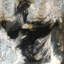 « cosmique storm », reproduction d’art sur toile-21717539-71968807
