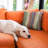 Cuba Striped Outdoor Reversible Throw Pillow-1503395572