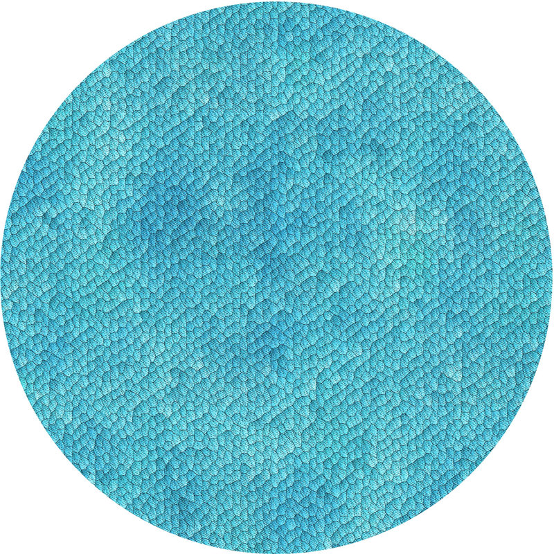 Indoor Rug, Round 6'