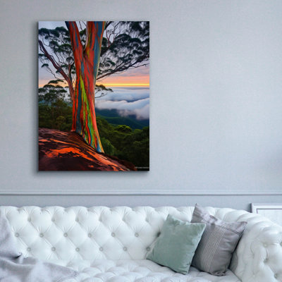 Art mural sur toile Winston Porter «Rainbow Eucalyptus 1» par r3darch0n