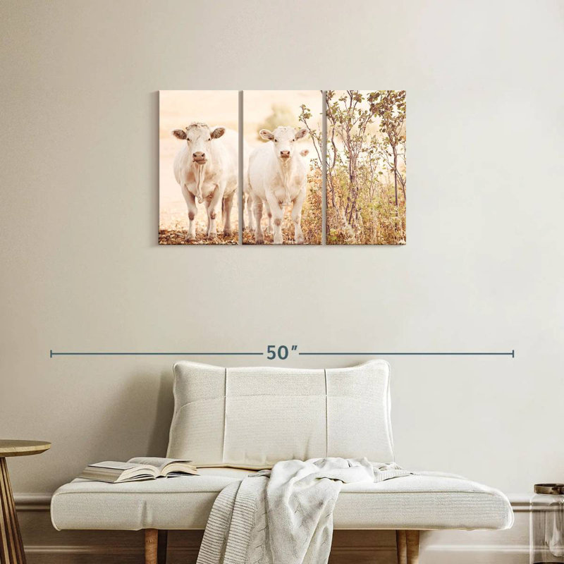 Charolais, H 20 po x l 33 po