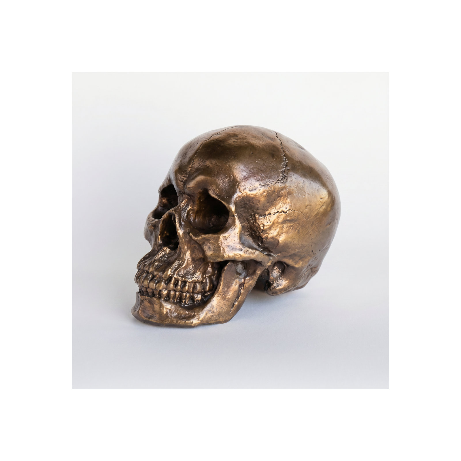 Muscogee Replica Faux Taxidermy Human Skull Figurine, Bronze